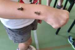 WhatsApp-Image-2026-06-25-at-11.12.55-2