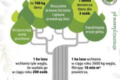 Przytul-2025-placowka-4.pdf - 1