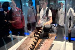 WhatsApp-Image-2025-12-12-at-14.16.39