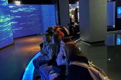 WhatsApp-Image-2025-12-12-at-14.16.41-1